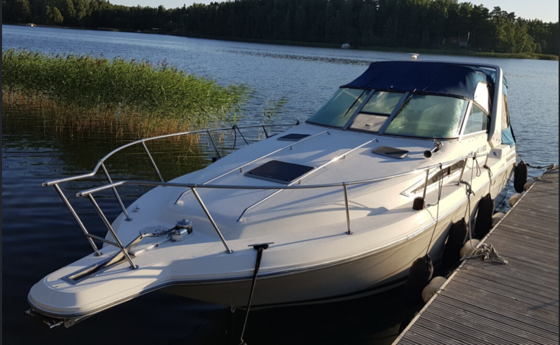 Sea Ray 290 SDA-kuva-4